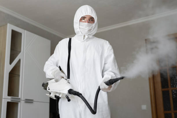 Mold Remediation for Vacation Homes in Mercer, PA