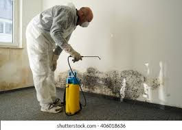 Why You Should Choose Our Mold Remediation Services in Mercer, PA